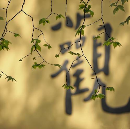 寺廟佛教文化，蕓蕓眾生便是修行