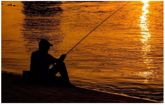 松陽·陌領(lǐng)浮光民宿，浮光指路茶香入夢
