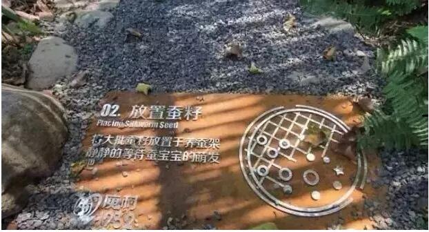 莫干山庾村1932文化市集，一村一世界