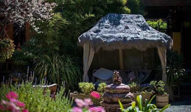 麗江束河無爾，在這里帶著夢想開花棲居