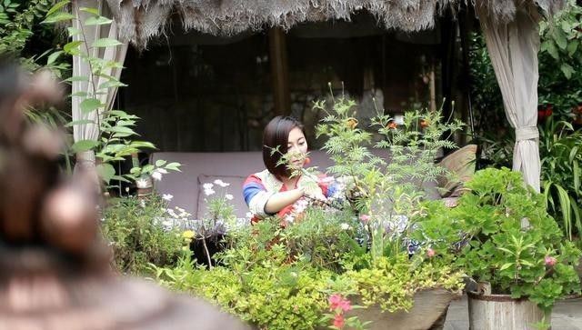 麗江束河無爾，在這里帶著夢想開花棲居