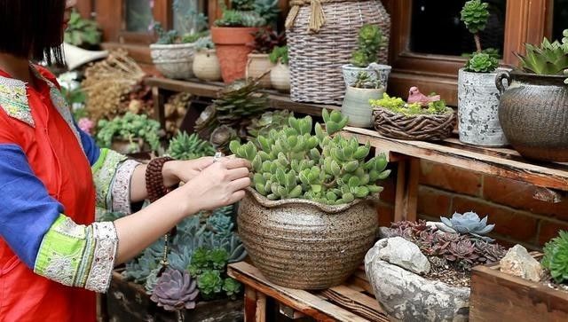 麗江束河無爾，在這里帶著夢想開花棲居