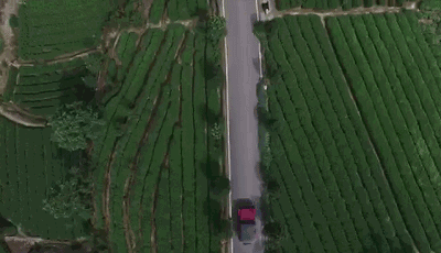 麗水·浮光，浮光指路茶香入夢蓋一間湖畔大學