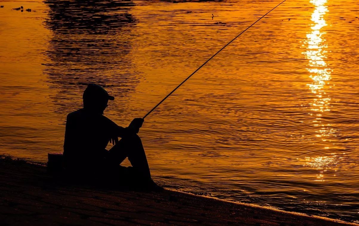 麗水·浮光，浮光指路茶香入夢蓋一間湖畔大學