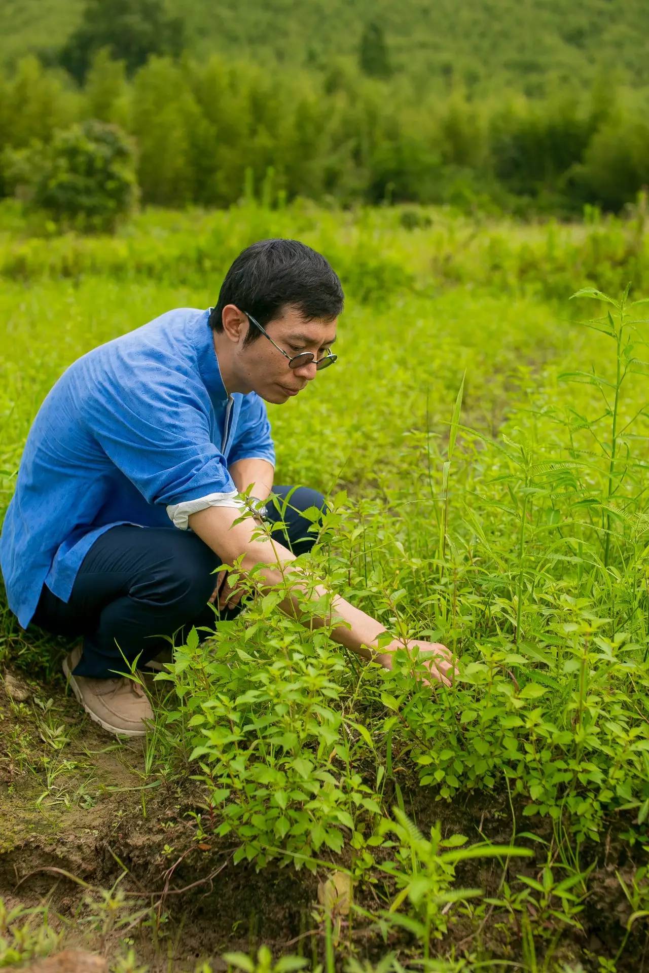 原舍·望山，享受最純粹的鄉(xiāng)村生活