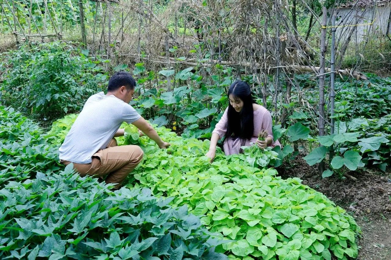 村上酒舍，體驗古村生活一起慢慢變老