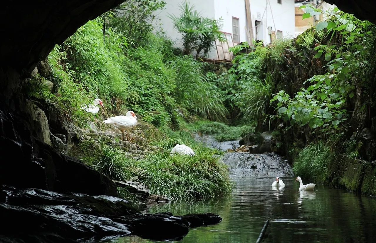 村上酒舍，體驗(yàn)古村生活一起慢慢變老