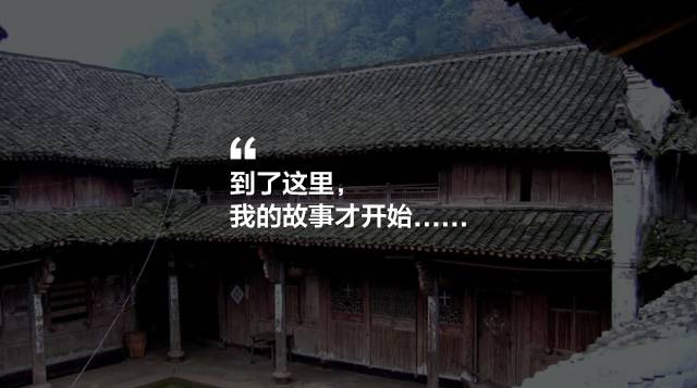 寧波·花雨醉，品花間一壺酒聽雨后醉朦朧