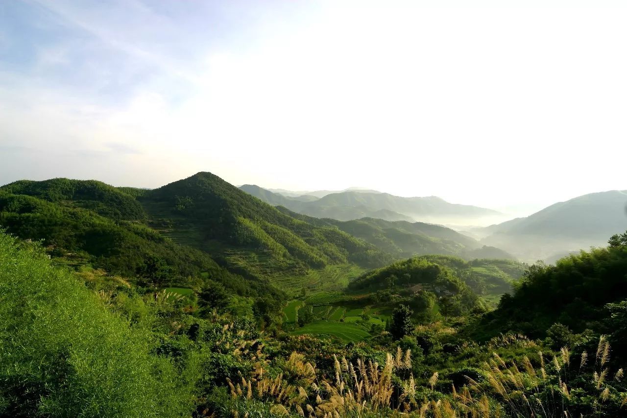 寧波·花雨醉，品花間一壺酒聽雨后醉朦朧