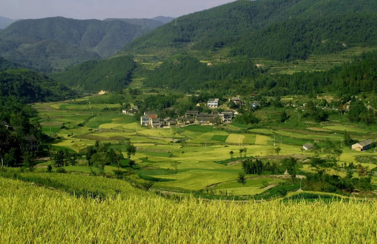 寧波·花雨醉，品花間一壺酒聽雨后醉朦朧