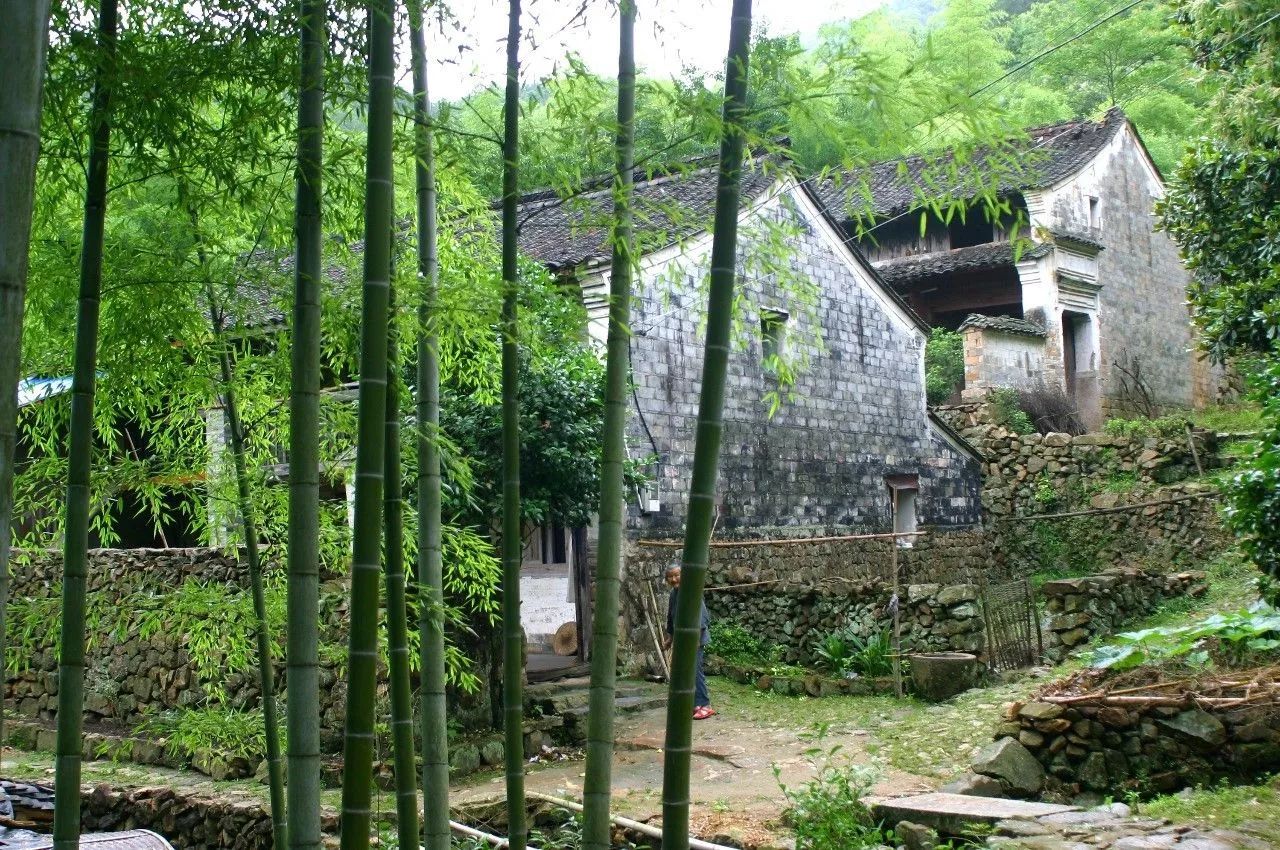 寧波·花雨醉，品花間一壺酒聽(tīng)雨后醉朦朧