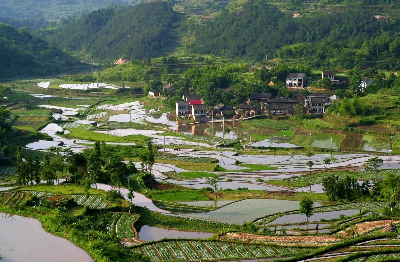 寧波·花雨醉，品花間一壺酒聽(tīng)雨后醉朦朧