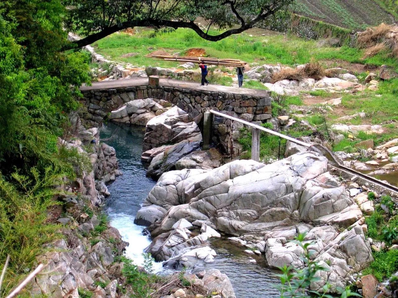 寧波·花雨醉，品花間一壺酒聽(tīng)雨后醉朦朧