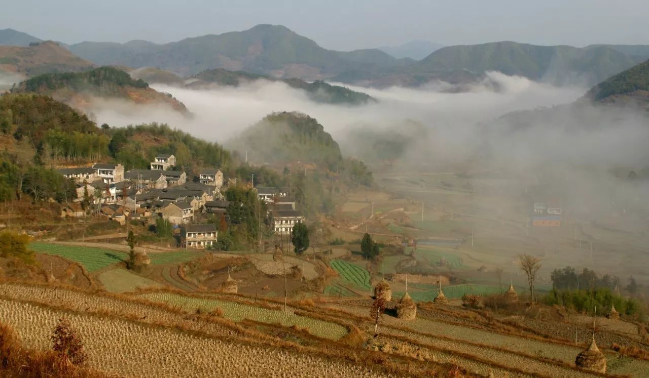 寧波·花雨醉，品花間一壺酒聽雨后醉朦朧