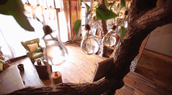 寧波·花雨醉，品花間一壺酒聽雨后醉朦朧