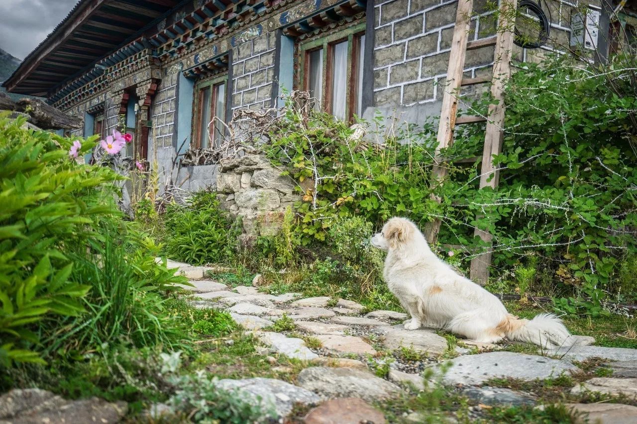 林芝·找個地兒待著，這個星球上最特別的故鄉(xiāng)