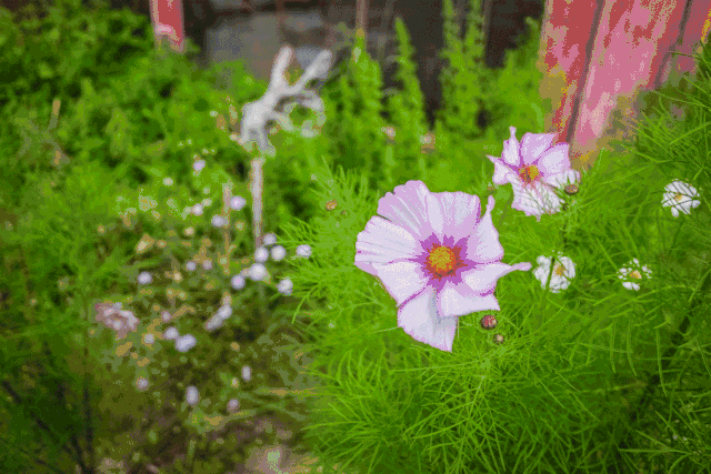 林芝·找個地兒待著，這個星球上最特別的故鄉(xiāng)