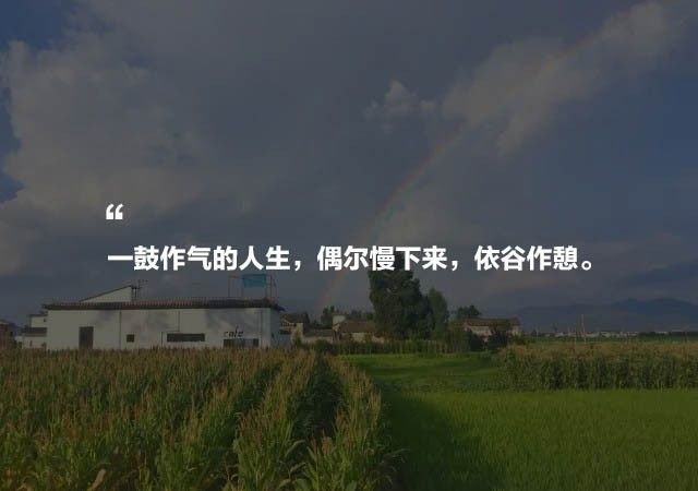 大理·依谷坐憩，在稻田里種間甜品店靜待光陰