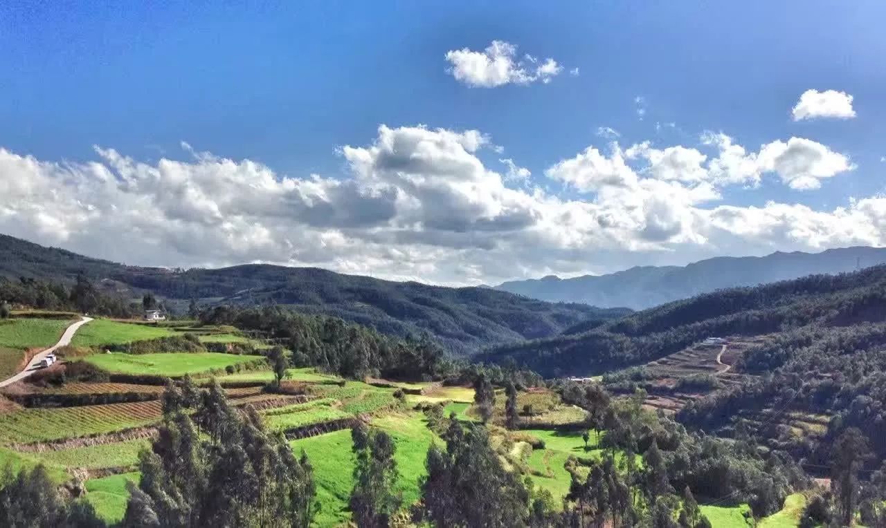 大理·依谷坐憩，在稻田里種間甜品店靜待光陰