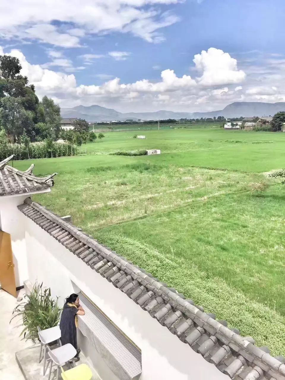 大理·依谷坐憩，在稻田里種間甜品店靜待光陰