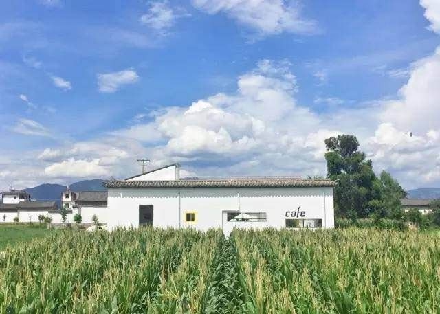 大理·依谷坐憩，在稻田里種間甜品店靜待光陰