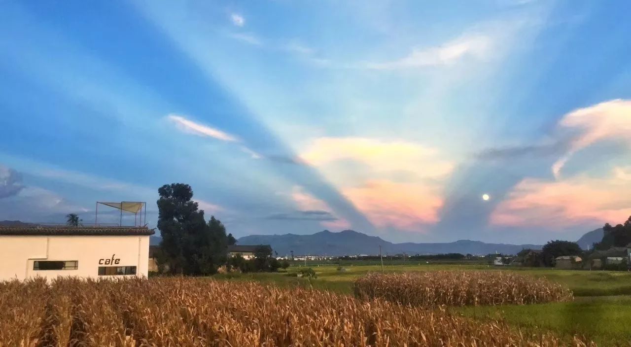 大理·依谷坐憩，在稻田里種間甜品店靜待光陰