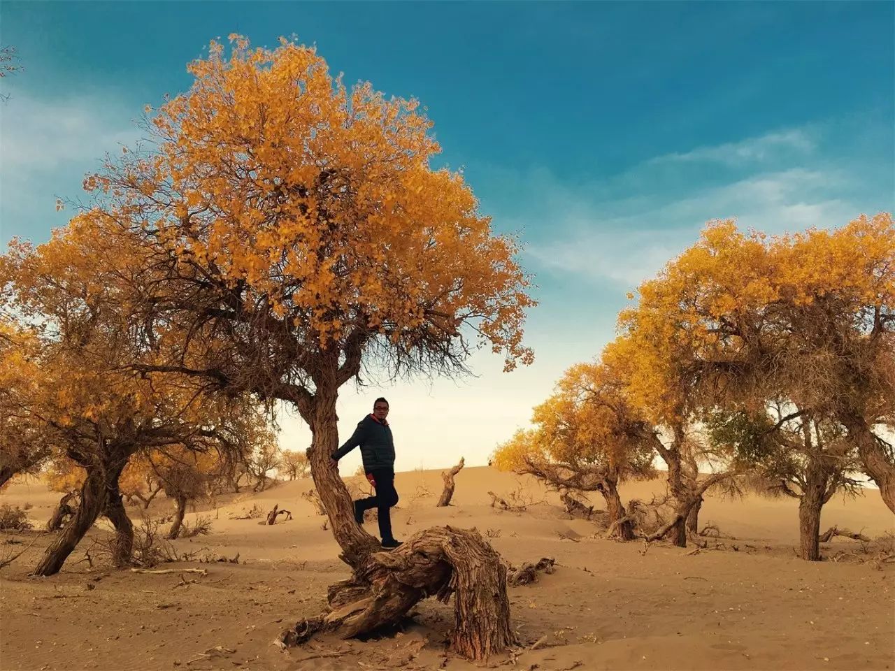 武夷山·舊街山宿，理想生活就是慢下來