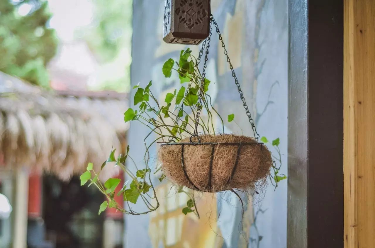 武夷山·舊街山宿，理想生活就是慢下來