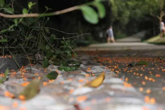 秋意正濃，與8家最美民宿一起相約杭州