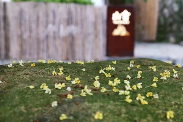 秋意正濃，與8家最美民宿一起相約杭州