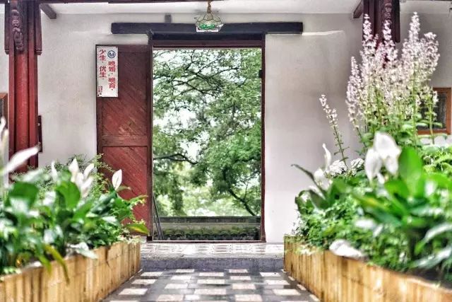 秋意正濃，與8家最美民宿一起相約杭州