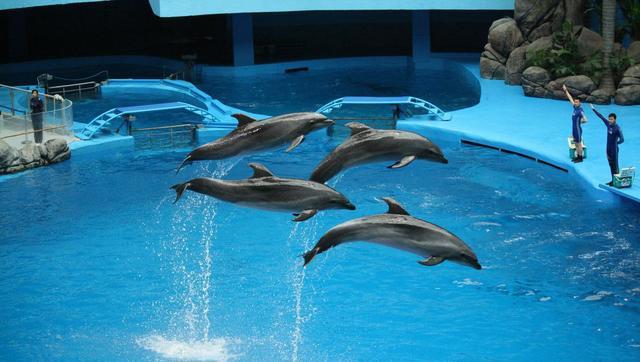 青島·Villaart維林藝墅，因?yàn)榉孔訍?ài)上一座城