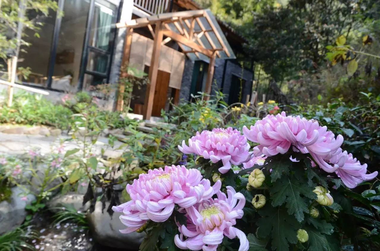 雪坑村·美客愛途，愛上美麗的客居地和旅途故事