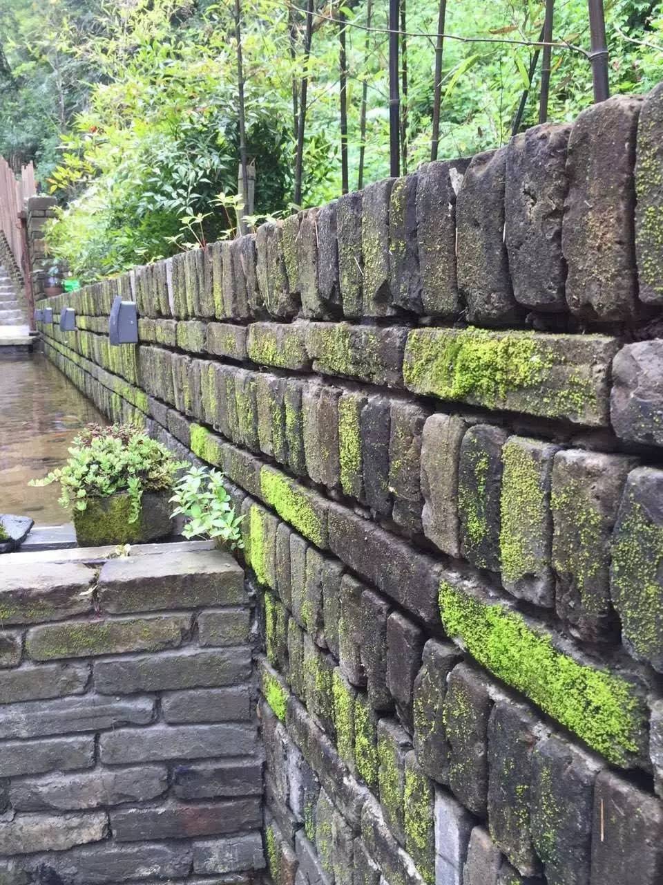 雪坑村·美客愛途，愛上美麗的客居地和旅途故事