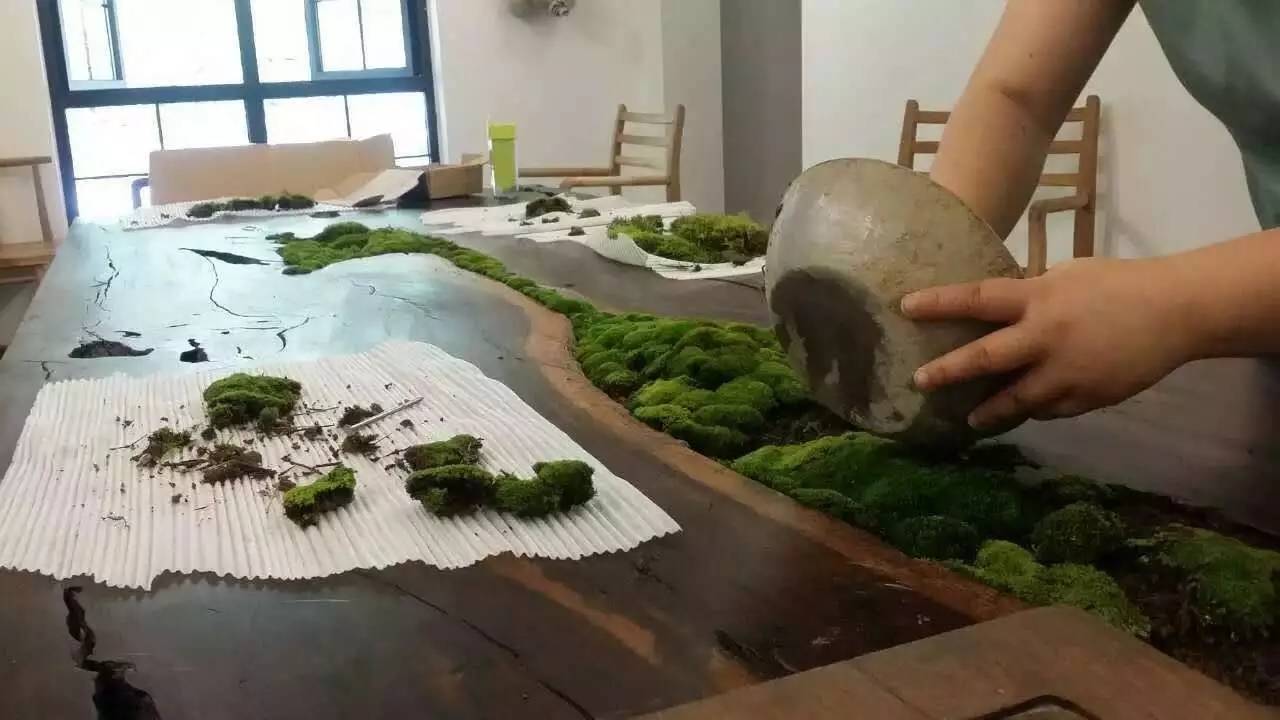 雪坑村·美客愛途，愛上美麗的客居地和旅途故事