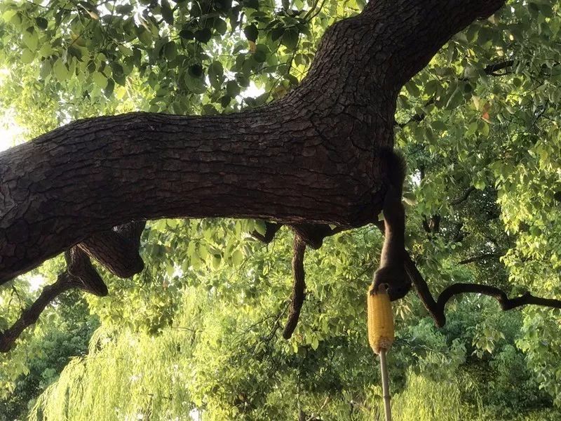 杭州·駐Hotel，在杭州最美季節(jié)體驗藝術(shù)空間