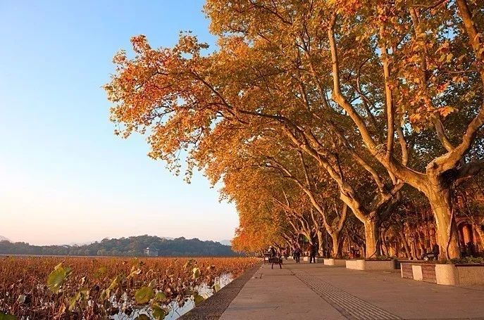 杭州·駐Hotel，在杭州最美季節(jié)體驗藝術(shù)空間