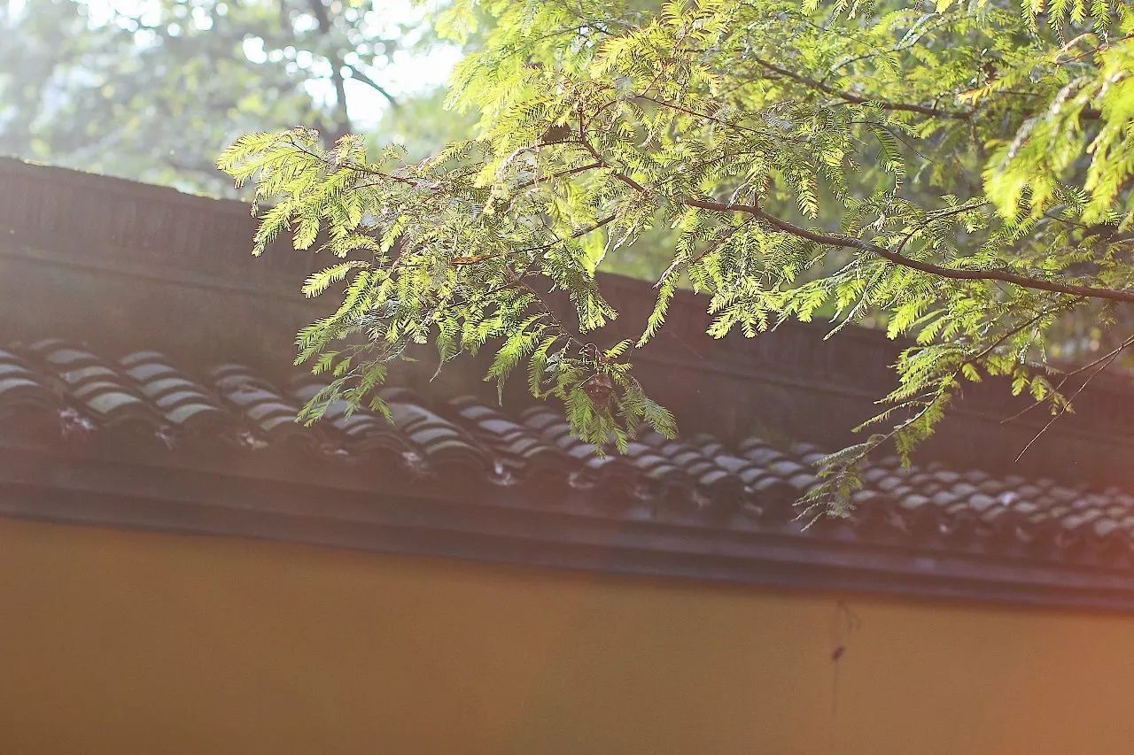 杭州·駐Hotel，在杭州最美季節(jié)體驗藝術空間