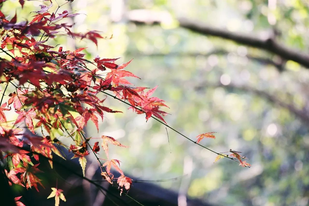 杭州·駐Hotel，在杭州最美季節(jié)體驗藝術空間