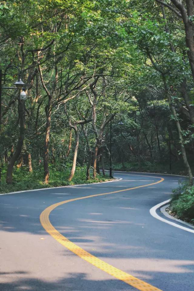 杭州·駐Hotel，在杭州最美季節(jié)體驗藝術空間