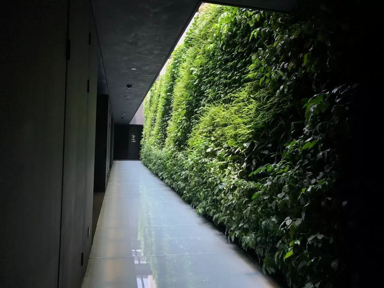 杭州·駐Hotel，在杭州最美季節(jié)體驗(yàn)藝術(shù)空間