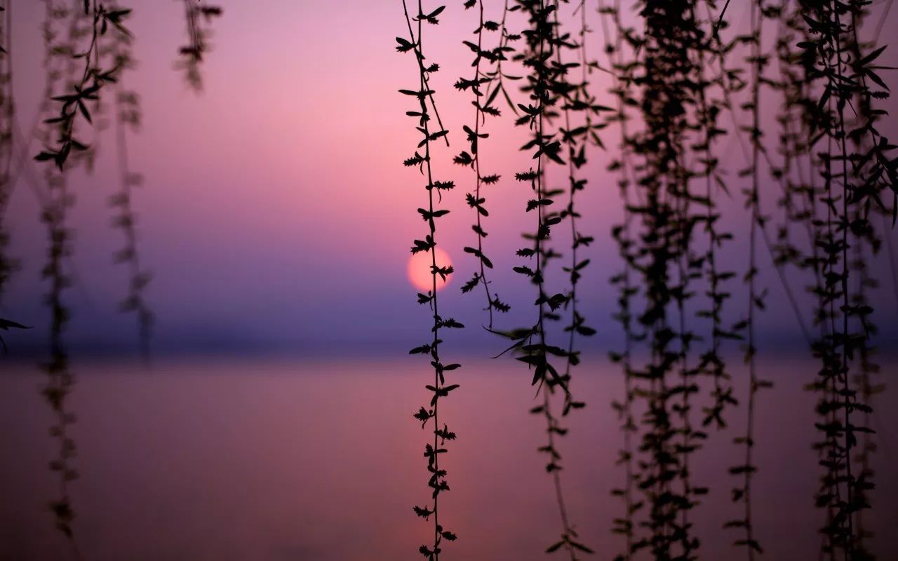 杭州·駐Hotel，在杭州最美季節(jié)體驗藝術(shù)空間