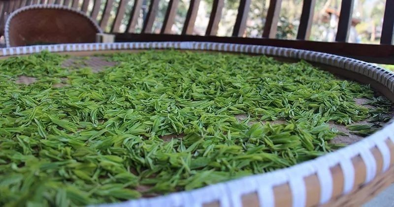 七椀居茶舍，喝西湖龍井茶感受西湖美秋季美