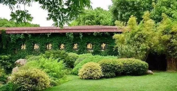 七椀居茶舍，喝西湖龍井茶感受西湖美秋季美