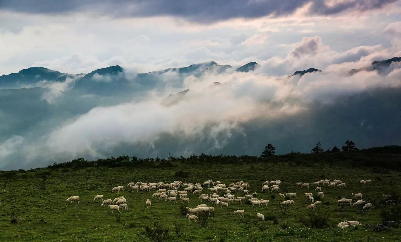 皇木鎮(zhèn)·壹間房，住進云霧間愛上一座城
