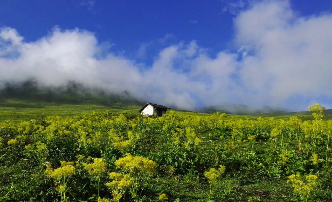 皇木鎮(zhèn)·壹間房，住進(jìn)云霧間愛(ài)上一座城