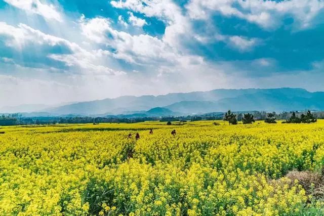 安之若宿·山，建一小屋與你晨鐘暮鼓