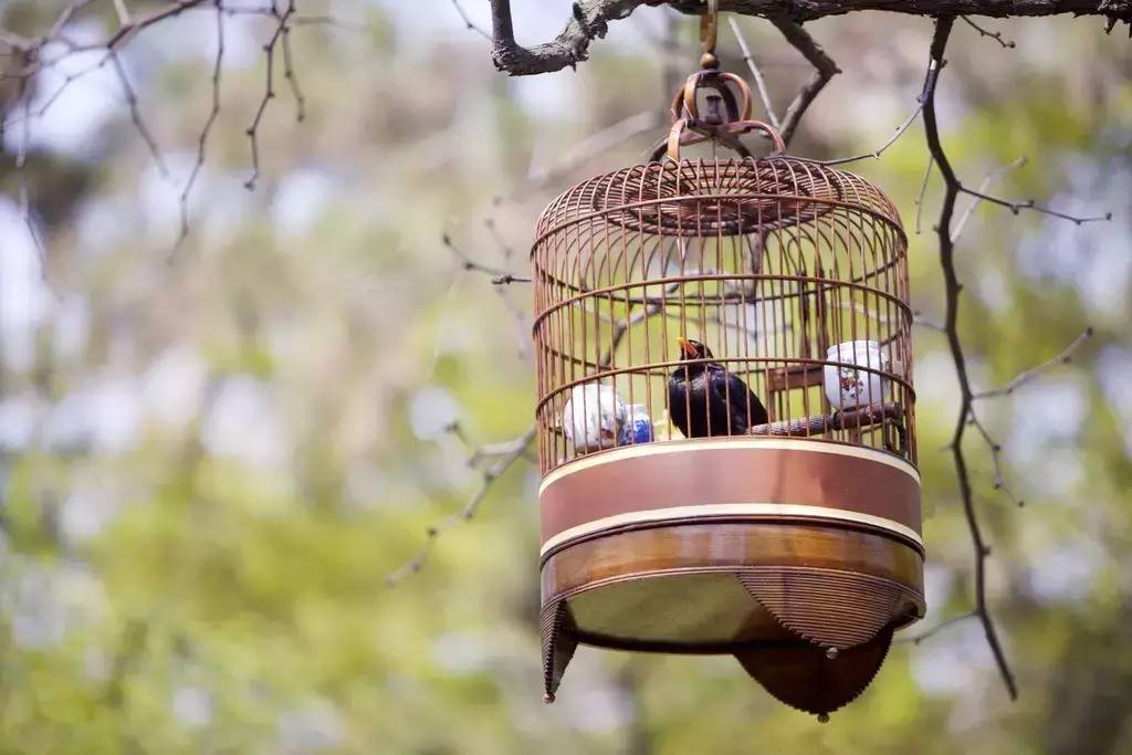 中國傳統(tǒng)文化有那些？100款中國傳統(tǒng)文化