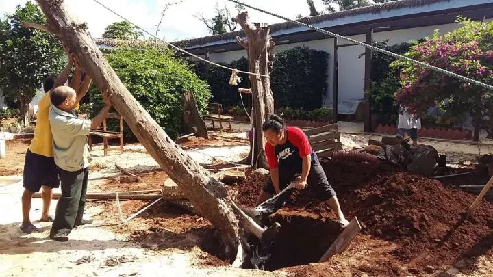 慢點(diǎn)藝術(shù)民宿，世間所有努力都是為了慢點(diǎn)