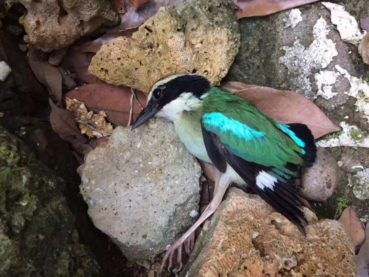 慢點藝術(shù)民宿，世間所有努力都是為了慢點